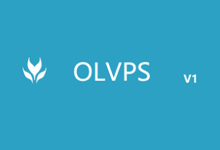 OLVPS-元旦首月5折优惠,香港Leaseweb,免备案香港大带宽VPS云服务器特价优惠,KVM虚拟架构,1核1G内存1Gbps带宽20元/月-阿森博客