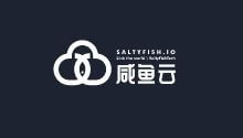 SaltyFishCloud-咸鱼云低价便宜德国VPS云服务器特价78折,德国法兰克福三网回程CN2 GIA线路,KVM虚拟架构1核1G内存300Mbps带宽低至5.3美元/月-阿森博客