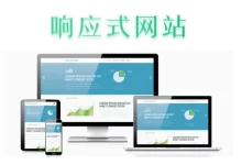 WordPress博客系统优化 加快页面打开速度-阿森博客
